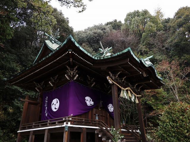 本殿。_草津八幡宮