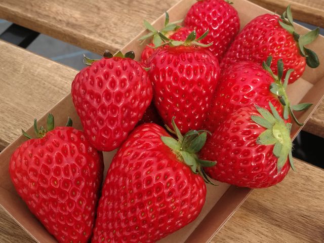 甘くて大きいいちごたち♪_いちご ぷらんと -ichigo plant-