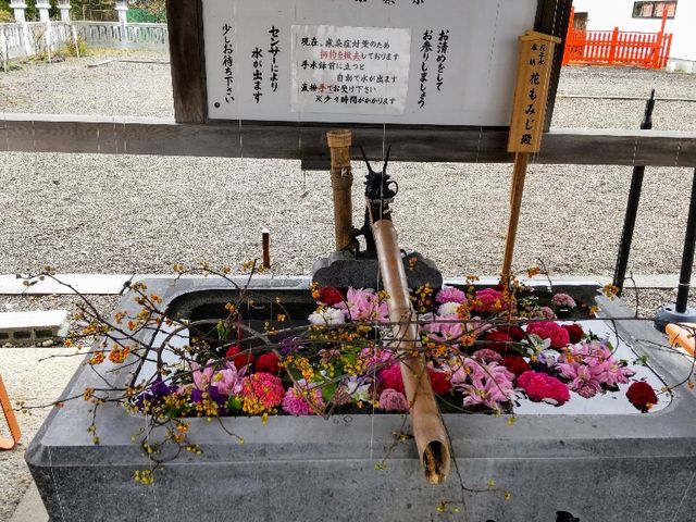 花手水_樽前山神社