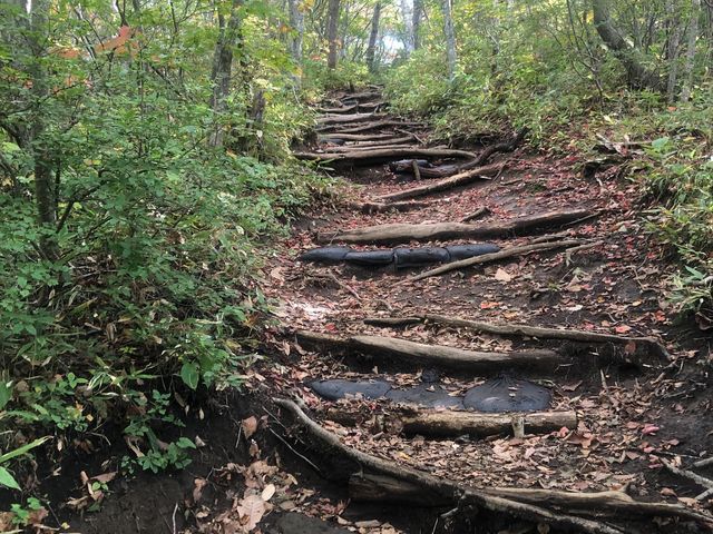 とても上りやすい傾斜で、自然を体感できます_鞍掛山(岩手県滝沢市)