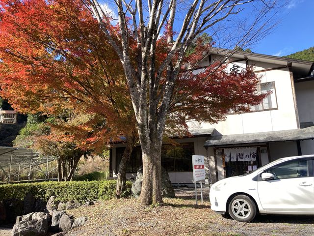 ちょうど紅葉がいい時期でした。_気田川 憩の家