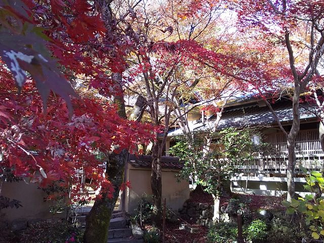 勝持寺