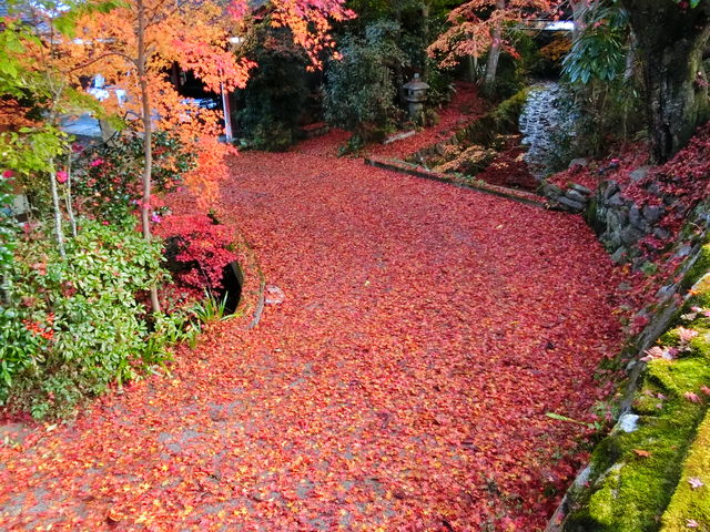 三千院道