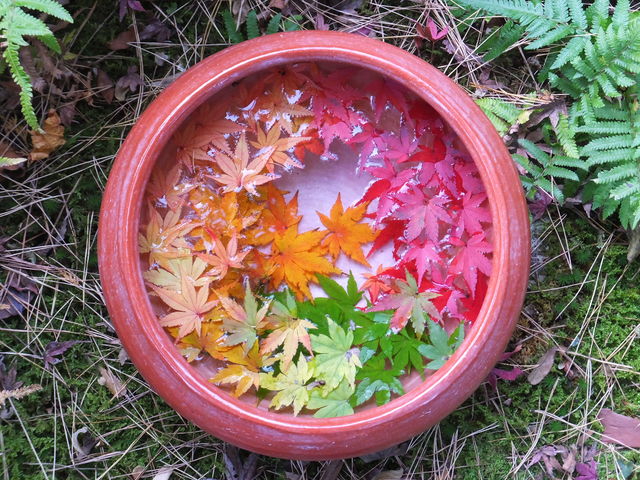 グラデーション_一条恵観山荘