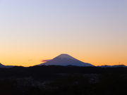ニコちゃんさんの県立大磯城山公園の投稿写真3