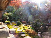 やんまあさんの実光院の投稿写真1