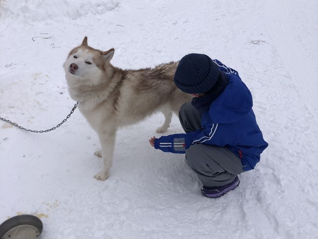 犬ぞりも楽しかったですが、やっぱりワンちゃんとの触れ合いが一番でした。_フラノトレッキングサポート遊馬