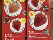 ゆみさんの岸川農園の投稿写真4