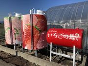 ゆみさんの岸川農園の投稿写真5