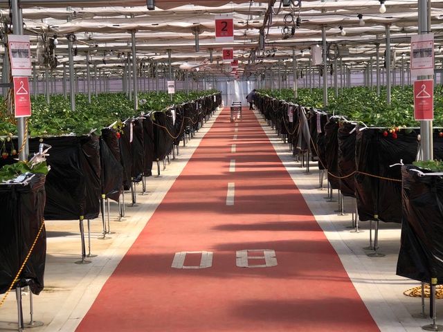 綺麗な施設_JAL Agriport