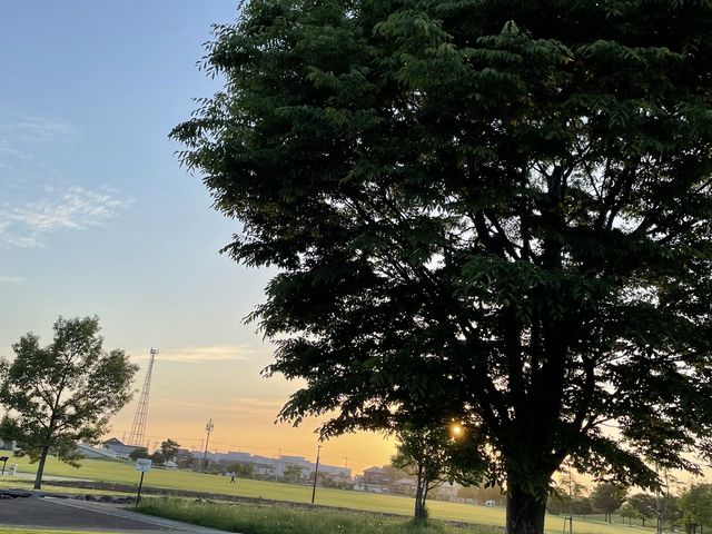 とても美しい公園です!_まつぶし緑の丘公園