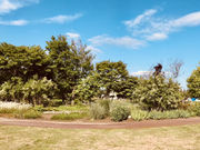 宇治谷茶々さんの夕張川河畔広場(ホワイトガーデン)の投稿写真1