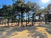 4人のかーちゃんさんの若松ゴルフ倶楽部の投稿写真1