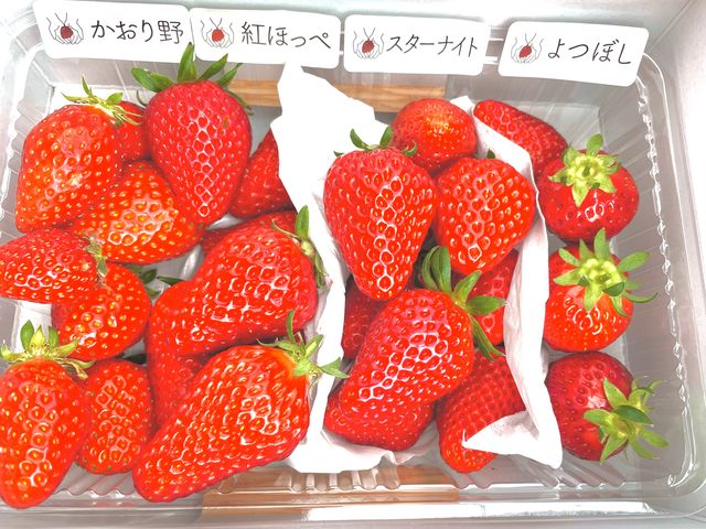 沢山摘みました!_いのうえいちご