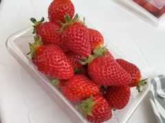 ystk.さんの株式会社ふるーつふぁーむわかやまへの投稿写真1