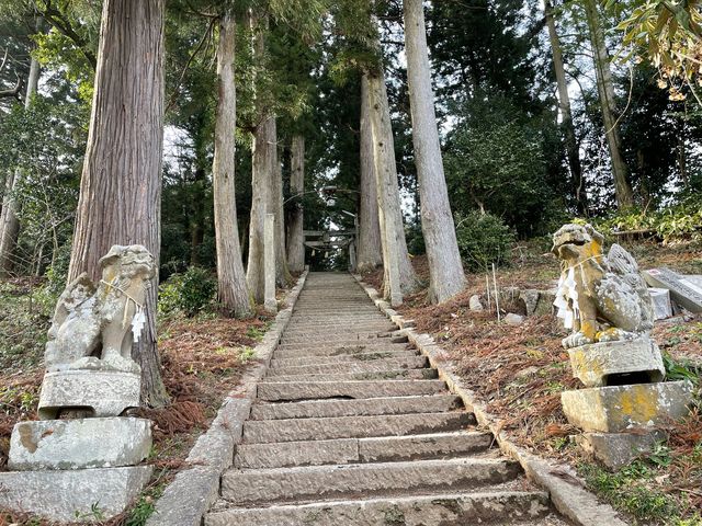 この階段を登ってネ〜_湯野神社