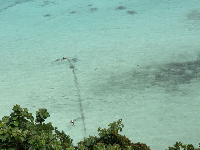 透明度がとても美しくずっーと見てても飽きません_うたくなー石垣島