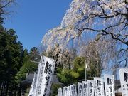 ゆかぴさんの秋保神社の投稿写真1