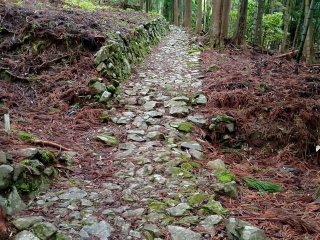 コース写真_熊野古道 小辺路