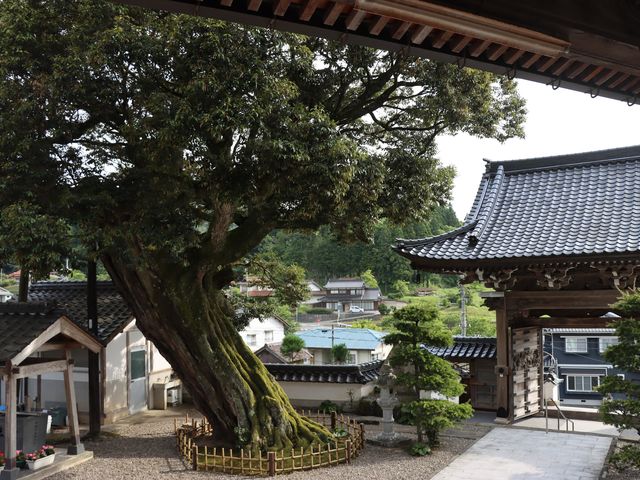 一期一会さんの正蓮寺の投稿写真7