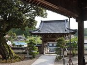 一期一会さんの正蓮寺の投稿写真6