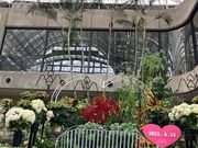 ウッキーさんの久屋大通庭園フラリエの投稿写真1
