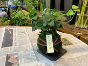 マコさんのフラワーショップ 花工房の投稿写真1