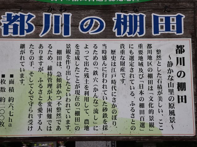 浜田市 都川の棚田_都川の棚田