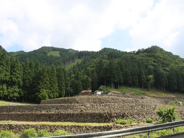 浜田市 都川の棚田_都川の棚田