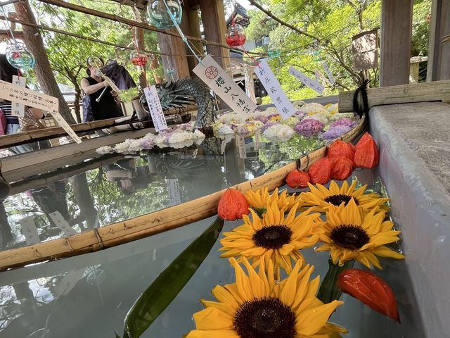 桜山八幡宮の風鈴まつり_中田呉服店