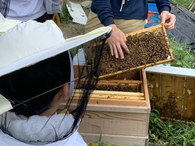 子供にもピッタリの帽子。_berich養蜂場
