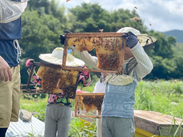 巣箱_berich養蜂場