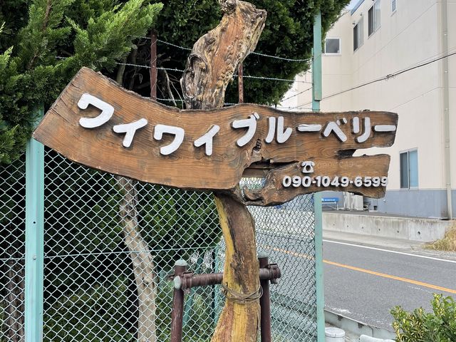 受付のおじ様が丁寧親切な対応をしてくださいます_ワイワイブルーベリー