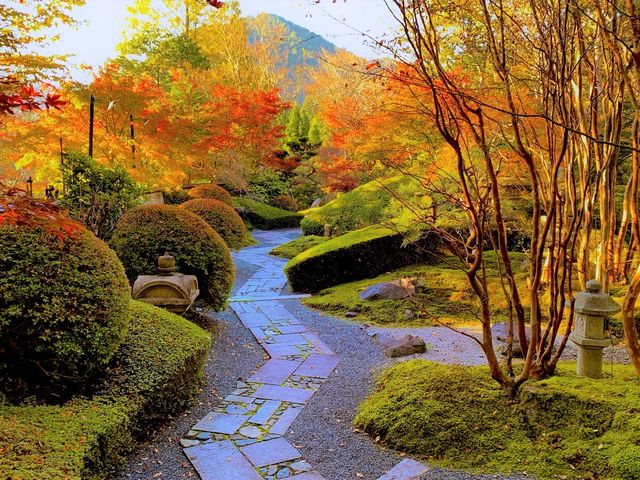 秋の庭園_野むら山荘