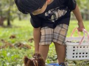 ニックネームさんのファームFUMIの投稿写真2