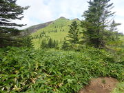 マイBOOさんの根子岳の投稿写真1