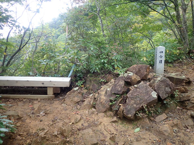 弥彦山ハイキング