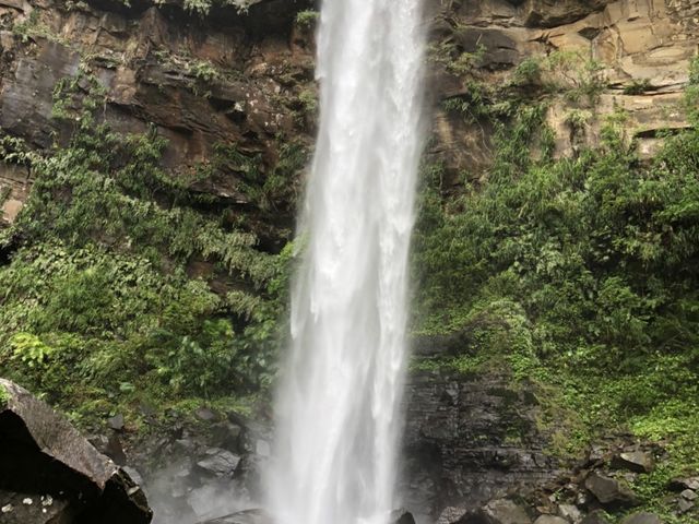 マイナスイオンたっぷりのピナイサーラの滝!_西表島カヌークラブ 空風