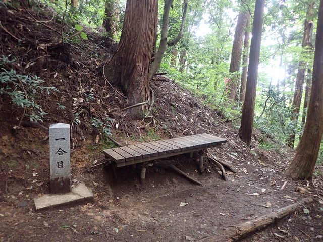 弥彦山ハイキング