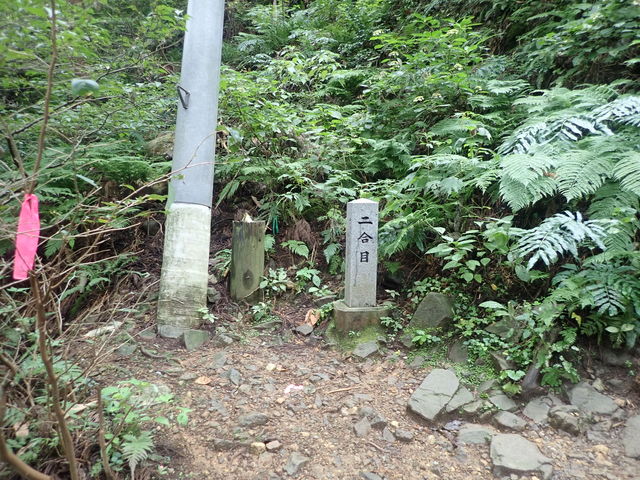 弥彦山ハイキング
