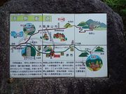 トシさんのあまの街道 千年の時間が流れる森を歩こうの投稿写真3