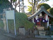 トシさんのあまの街道 千年の時間が流れる森を歩こうの投稿写真4