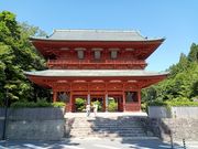 トシさんの高野街道(京大坂道)の投稿写真2