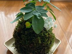 ナチュナ 〜Naturallife-nami〜の写真1