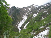 ム〜さんさんの巻機山の投稿写真1