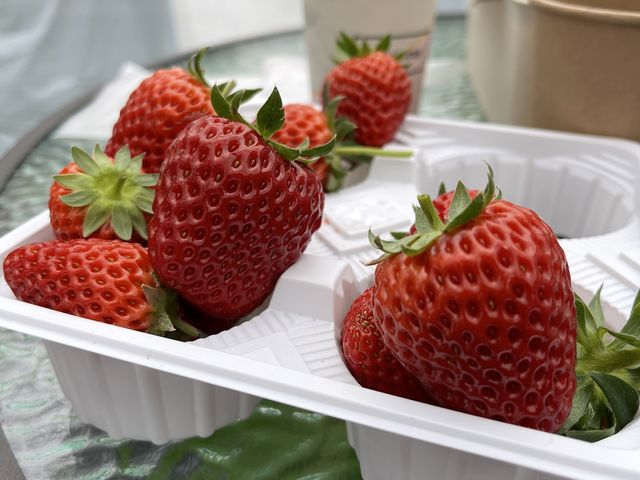 どのいちごも甘くて最高!_はなのかファーム