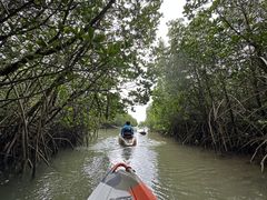 ももぞうさんの石垣島カヌーツアー・池間への投稿写真1