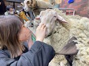 ひめたろさんのワンダーツアーズの投稿写真2