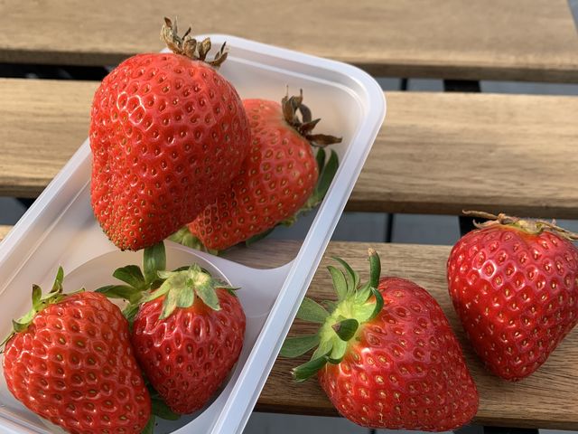 ソース用のトレーもありました。_いちご農園ぐっど・べりー
