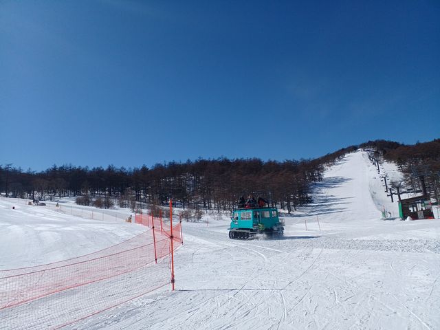 かなりのスピードで あっという間に高峰温泉の方へ駆け上がって見えなくなりました…_高峰温泉